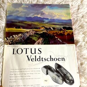 COUNTRY LIFE MAGAZINE November 25, 1954